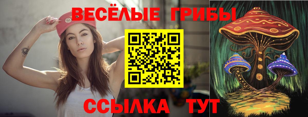 Галлюциногенные грибы Cubensis Качканар