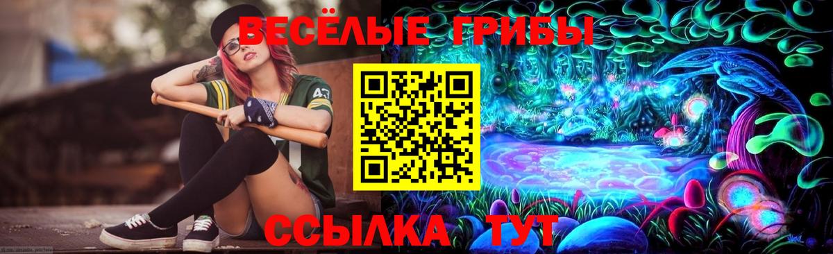 Качканар  Галлюциногенные грибы Magic Shrooms  Вход с VPN 
